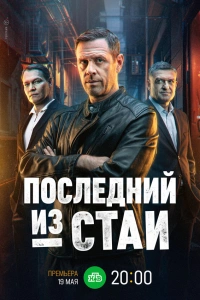 Последний из стаи